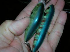 Spook Jr done like Rapala Bluegill