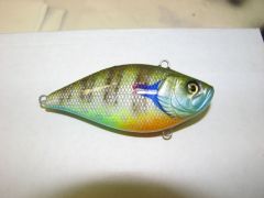 Lipless gill