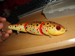 Foiled brown trout swimbait