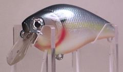 Ameliorate Shad variations