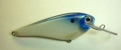 Bluehead Flatshad