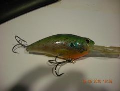 deep running bluegill