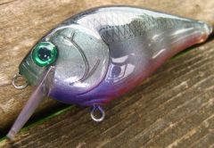 First airbrushed lure