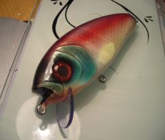 chameleon crankbait