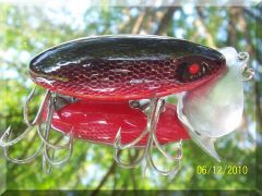 Red Shad Jitterbug.JPG