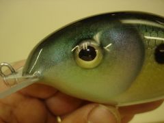 Beetle Shad