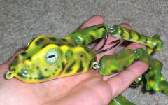 GREEN LEOPARD FROG SURFACE JERK