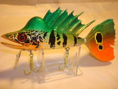 Replica Lure of IGFA World Record Peacock Bass