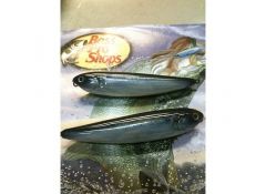 photofinish threadfin shad 3.jpg