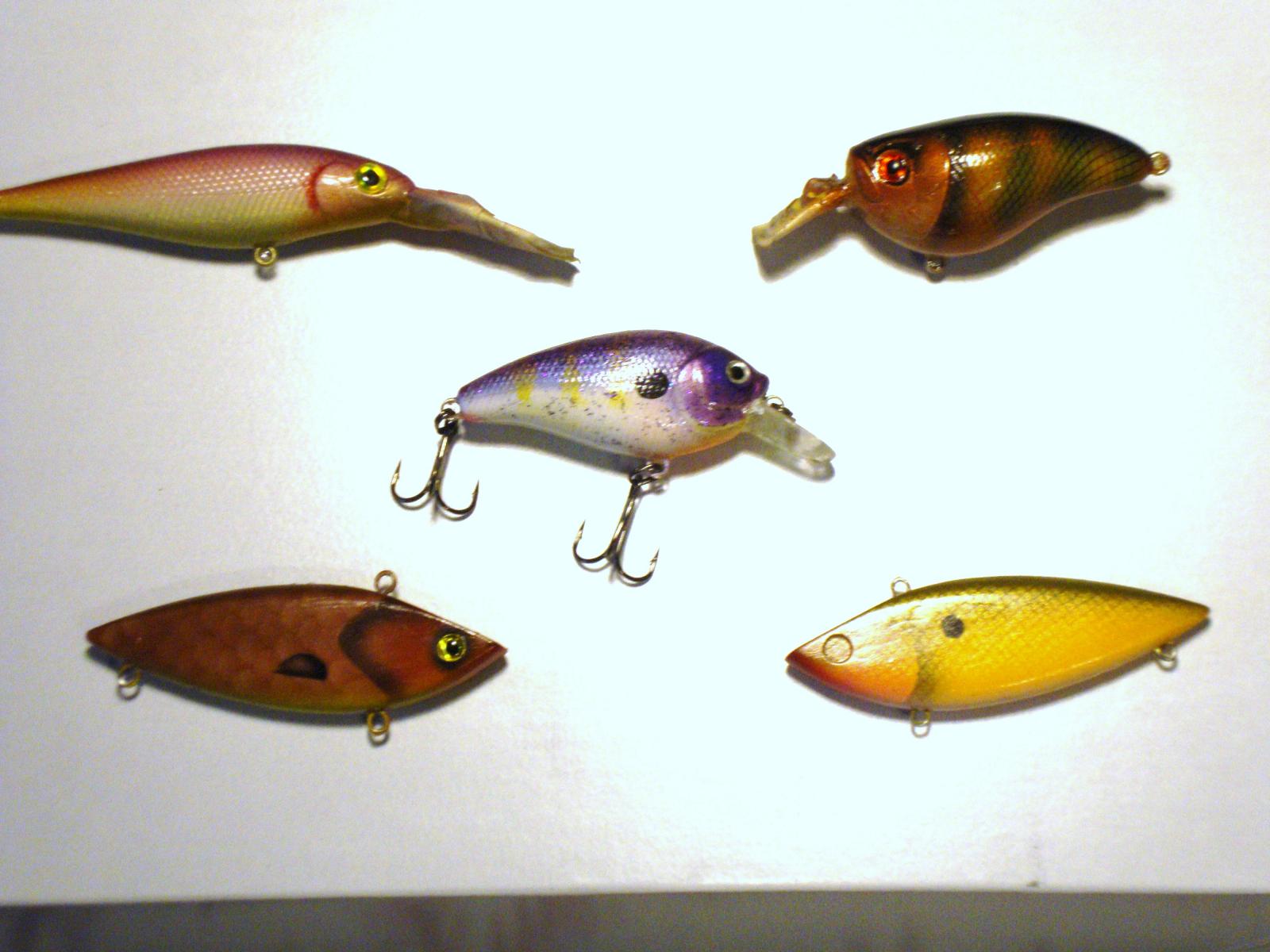 6 inch wake bait, Golden Shiner - Hard Baits - TackleUnderground