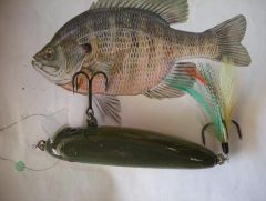 bluegill twister