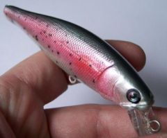 rainbow trout