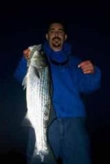 decent striper