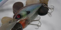 Foiled Mad Shad in my Treasure Shad color