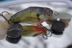 Foiled Mean McClain in Bluegill