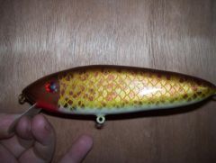 Light Sauger.jpg