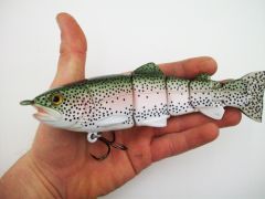 Another little guy  (disguised as a trout)