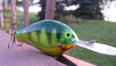 Perch pattern