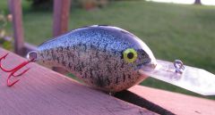 Crappie Pattern