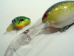 Lost Baits