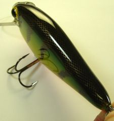 Rocket Shad in Golden Perch Tiger