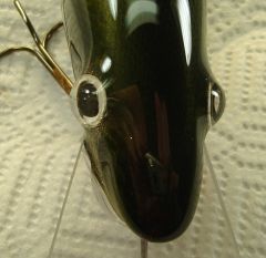 Flateye musky crank