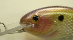 Foiled Threadfin musky crank