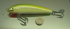 Emerald Shiner