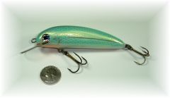 Emerald shad