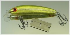 Emerald Shiner