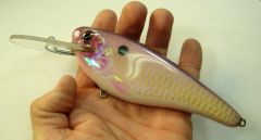 6 inch Iridescent Fatfingers Flatshad