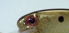 Gold Leopard FlatShad