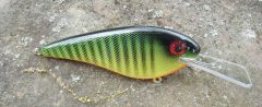 Pregnant Flatshad