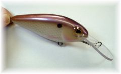 Plum Purple Shad