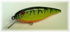 Rocket Shad