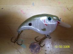 new crankbait