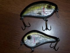 some new baits