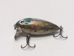 new baits