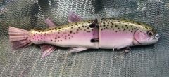 2008 Oak Musky Snax Trout