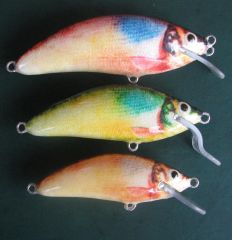 fast growing minnow