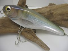 Gizzard Shad