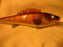 Hand carved,Foil Walleye