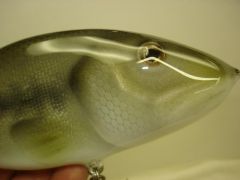 Largemouth Bass ......... Musky lure