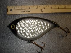 Silver Shad