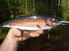 10" copper white fish