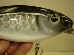 8' silver foil shad crankbait