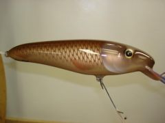 8" carp crankbait