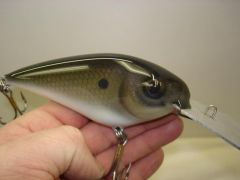 Golden shad