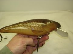 Common Carp 9" musky bait