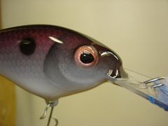 5" shad crankbait